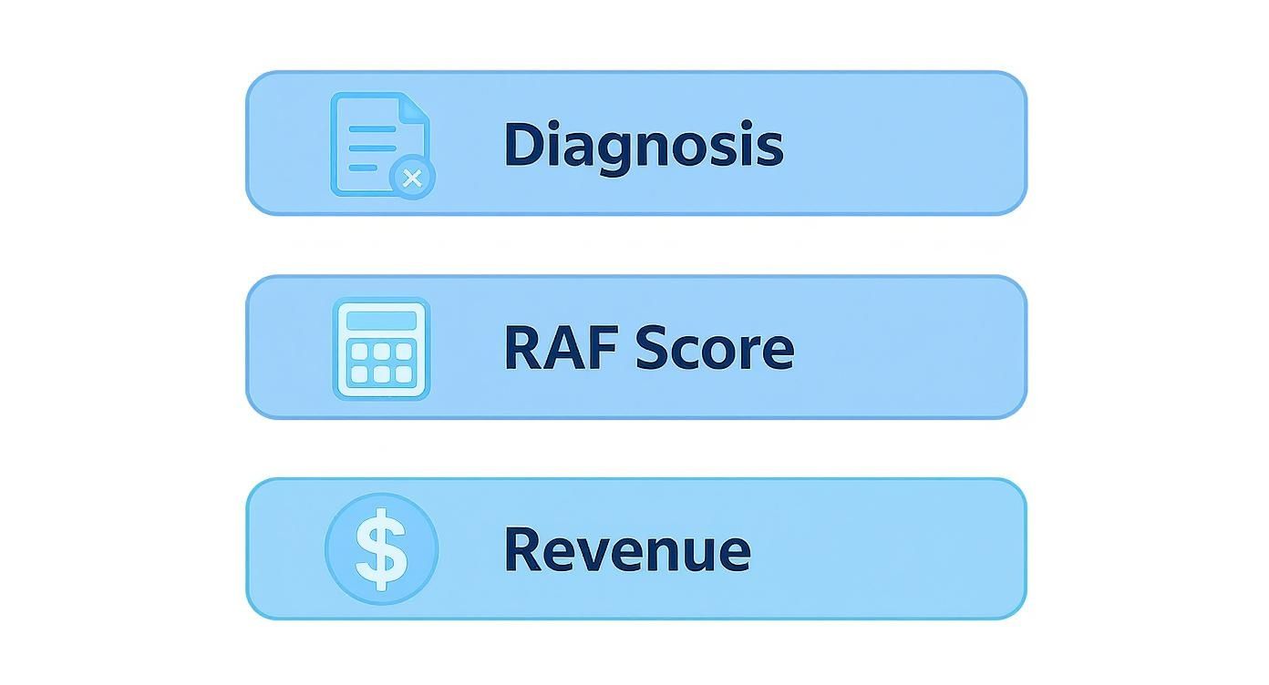 An infographic showing a vertical hierarchy: a document icon for Diagnosis at the top, leading down to a calculator icon for RAF Score, which in turn leads to a dollar sign icon for Revenue.