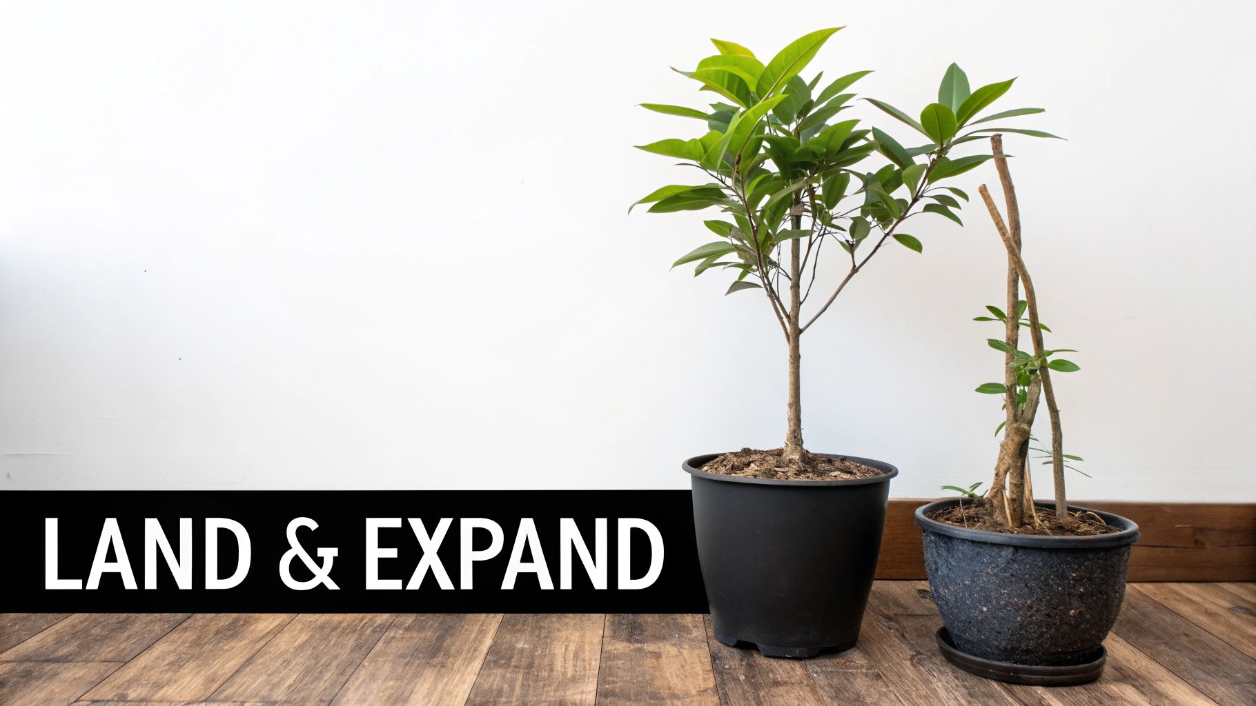 The Land and Expand Strategy