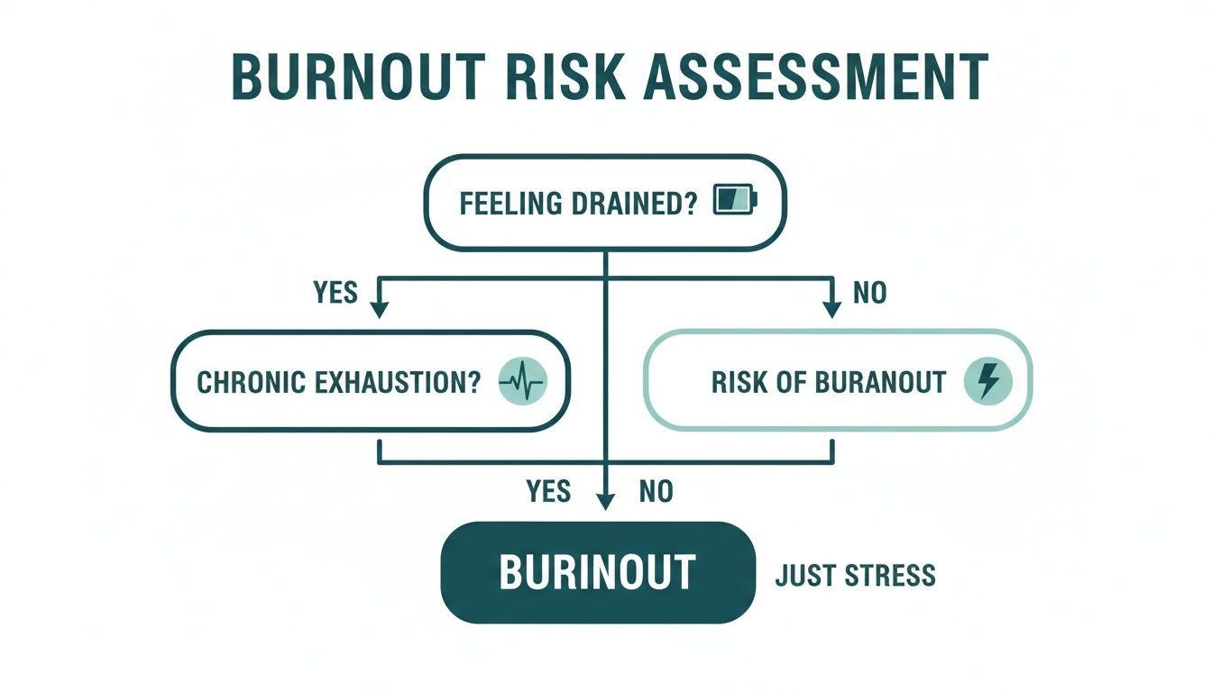 A burnout risk assessment flowchart with questions about feeling drained and chronic exhaustion, leading to burnout or stress.