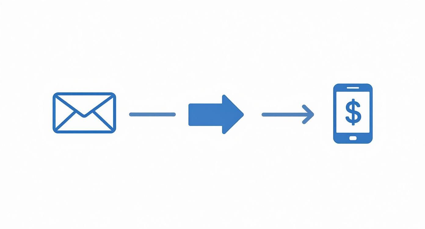Infographic about text message payments