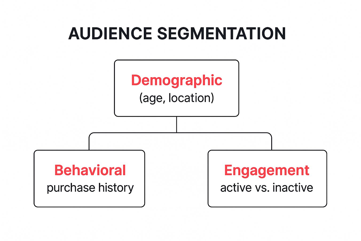 Segment Your Audience