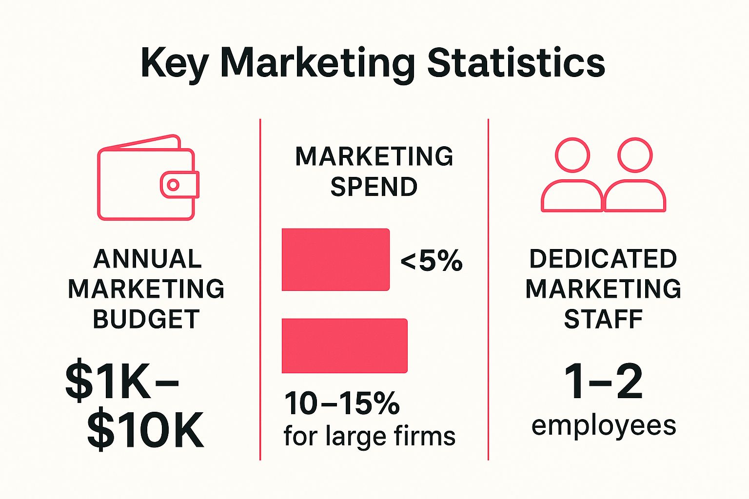 Infographic showing key data about Limited Marketing Budget and Resource Constraints