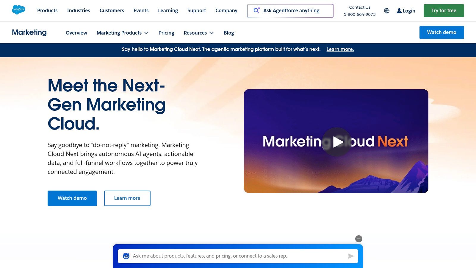Salesforce Marketing Cloud Engagement's Journey Builder interface showing a multi-path customer journey.