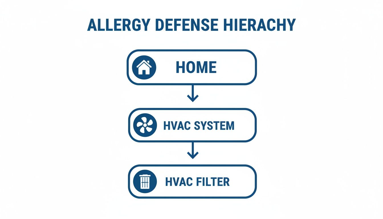 Infographic showing the allergy defense hierarchy: Home, HVAC System, and HVAC Filter, for better air.