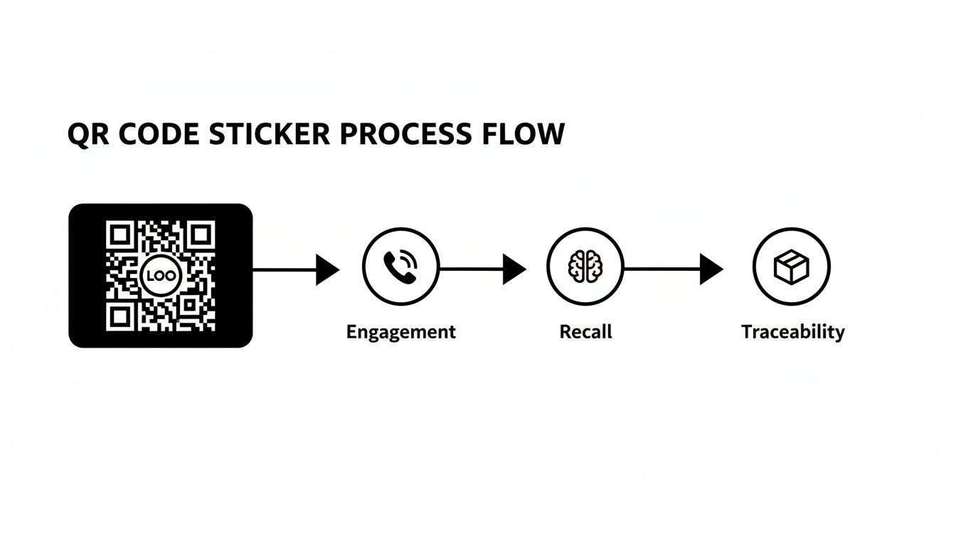 Infographic about qr code stickers with logo