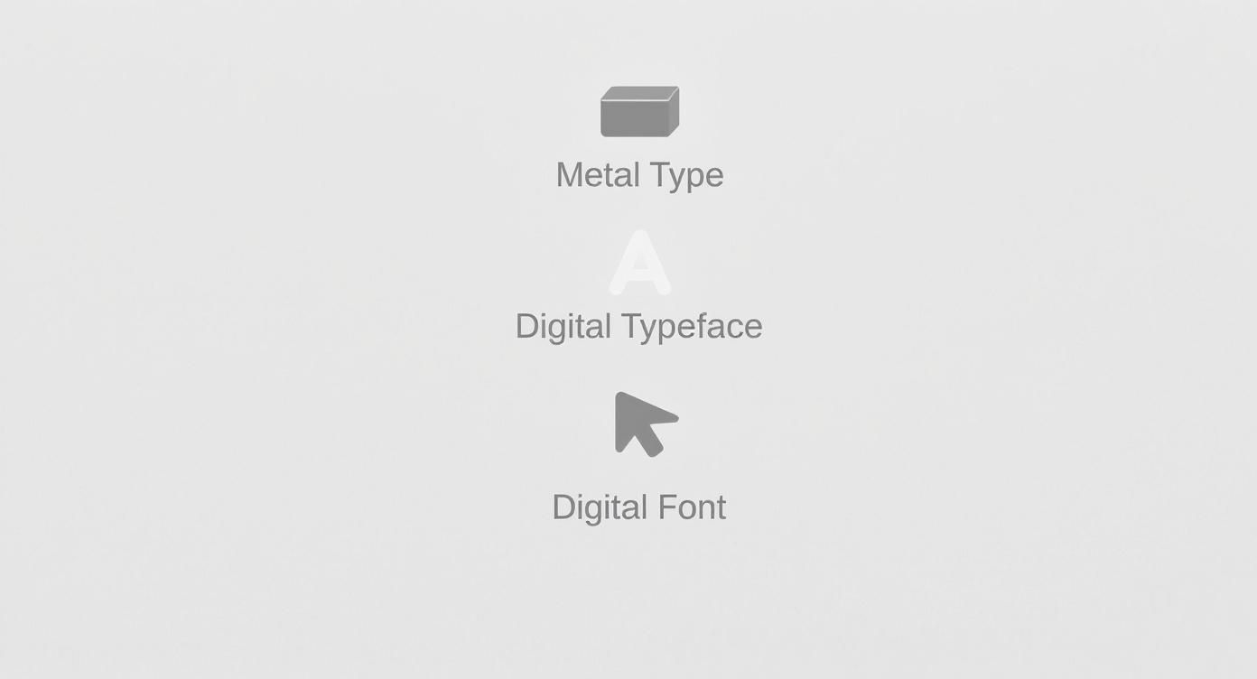 A diagram illustrating the evolution from metal type to digital typeface and digital font.