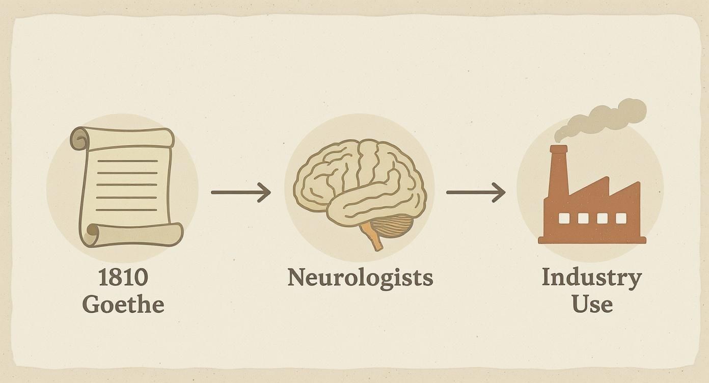 Historical timeline showing Goethe's 1810 color theory influencing neurology and modern industrial applications