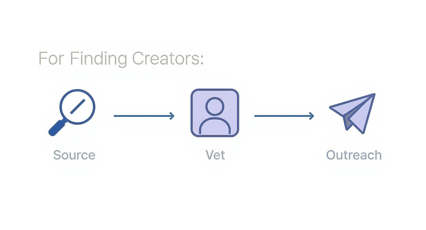 Infographic about content creator freelance