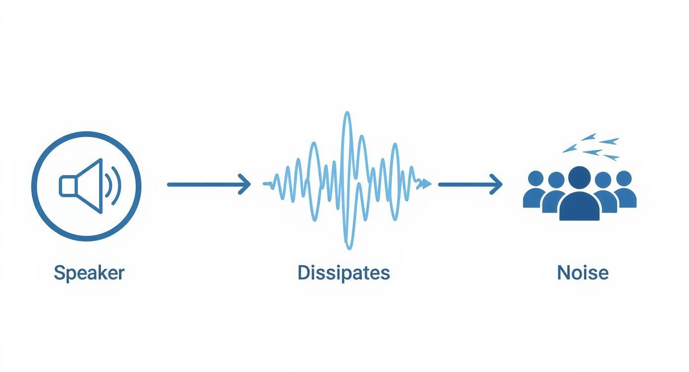 An infographic showing the process of outdoor sound, starting with a speaker, dissipating sound waves, and competing with crowd and wind noise.