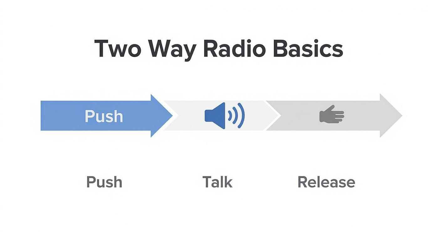 Infographic about Using a Two Way Radio - The Basics of Communicating