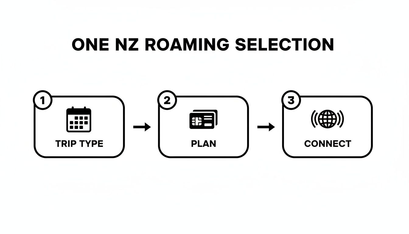 A diagram showing three steps for One NZ roaming selection: Trip Type, Plan, and Connect.