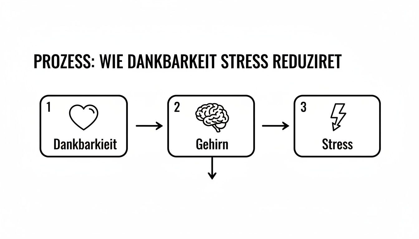 Ein Prozessdiagramm veranschaulicht, wie Dankbarkeit das Gehirn beeinflusst und Stress reduziert. Ein klarer Ablauf.