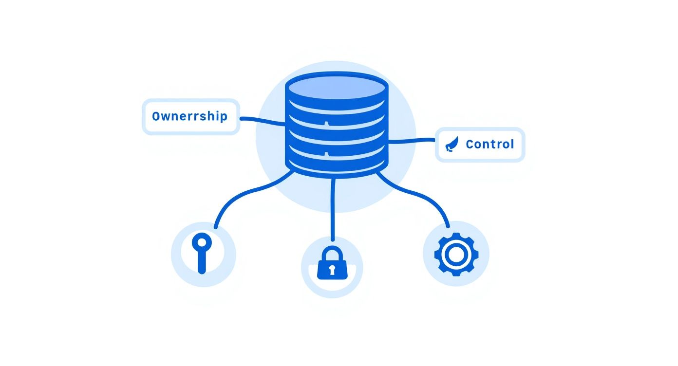 Database with ownership and control labels showing security features including key, lock, and settings icons