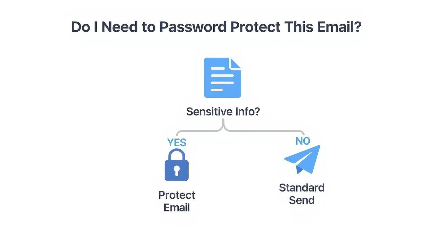 Infographic about how do i password protect an email