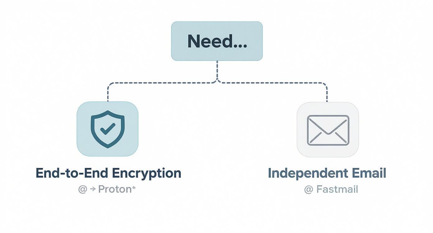 Infographic about alternatives to google workspace