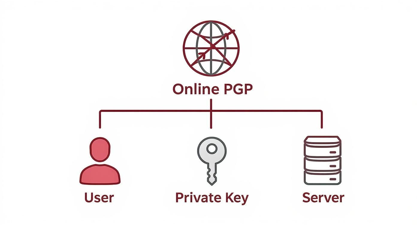 Diagram depicting Online PGP, user, private key, and server, featuring a crossed-out globe icon.