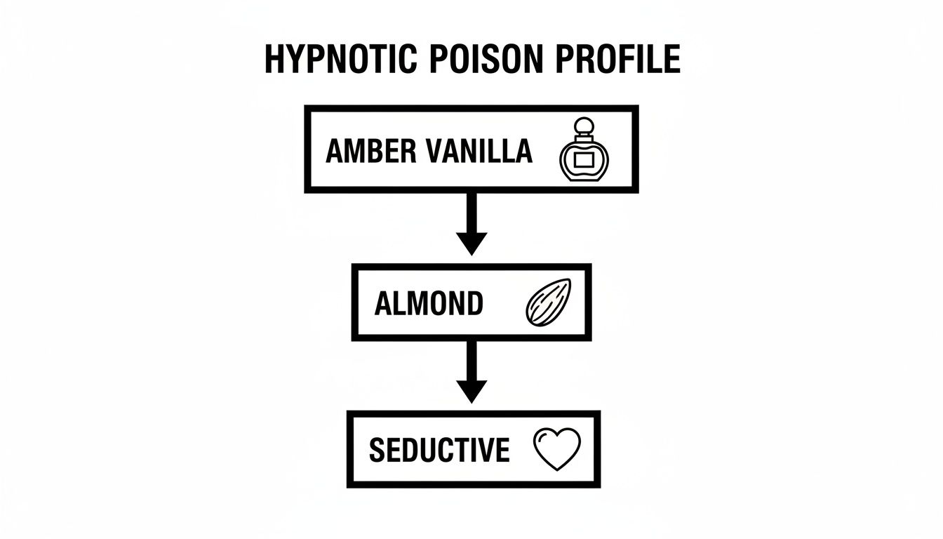 A flow chart illustrating the Hypnotic Poison profile: Amber Vanilla, Almond, and Seductive.