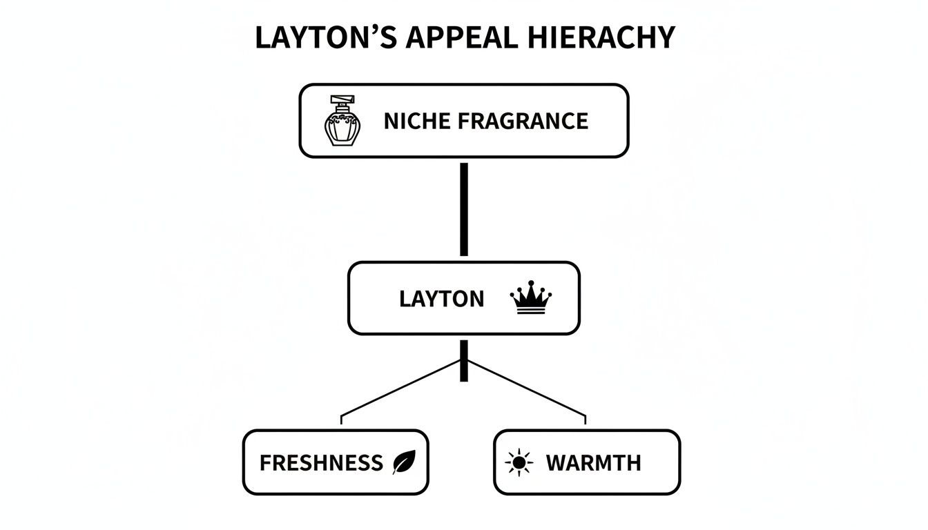 A hierarchy chart illustrating Layton's appeal, linking niche fragrance to Layton, then to freshness and warmth.