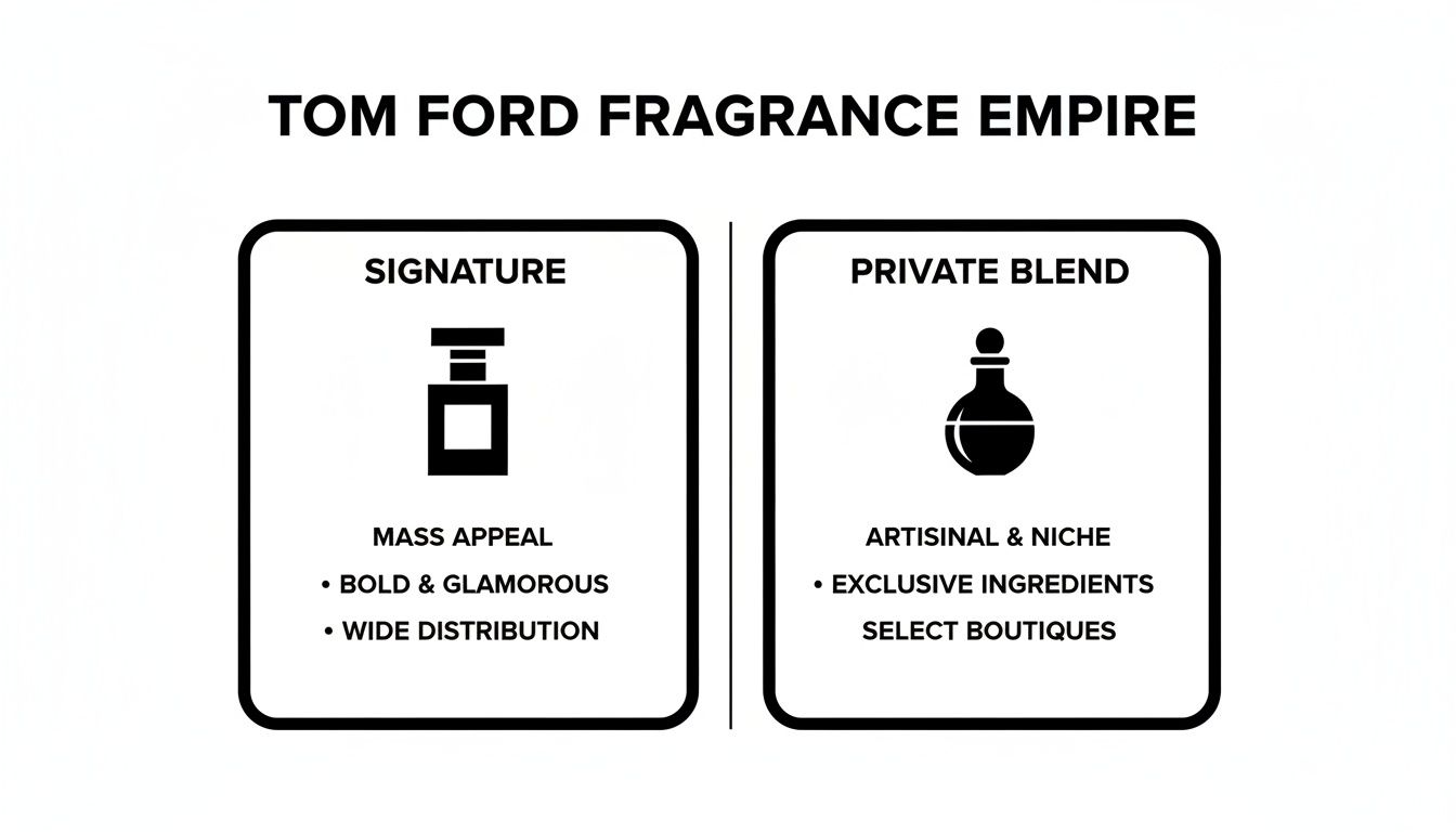 Infographic comparing Tom Ford Signature and Private Blend fragrance lines with their key characteristics.