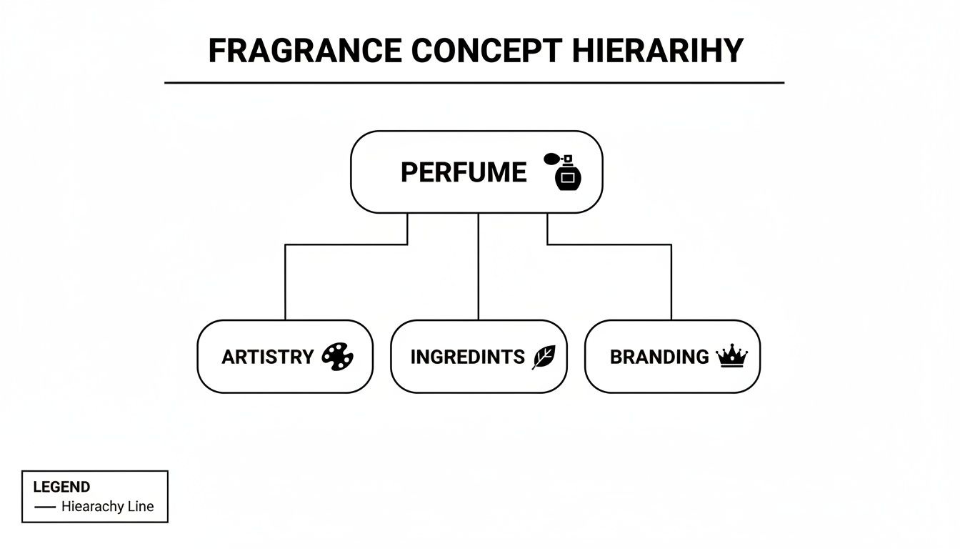 Diagram illustrating the fragrance concept hierarchy, showing perfume branching to artistry, ingredients, and branding.
