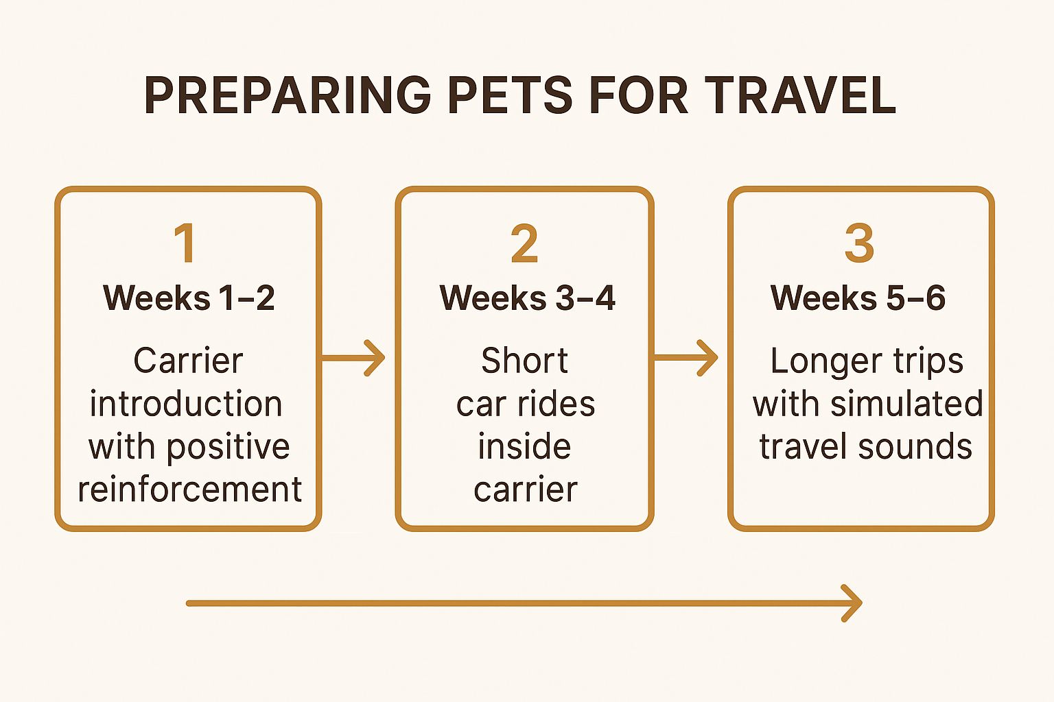 Infographic showing key data about Prepare Your Pet for Travel Through Gradual Training