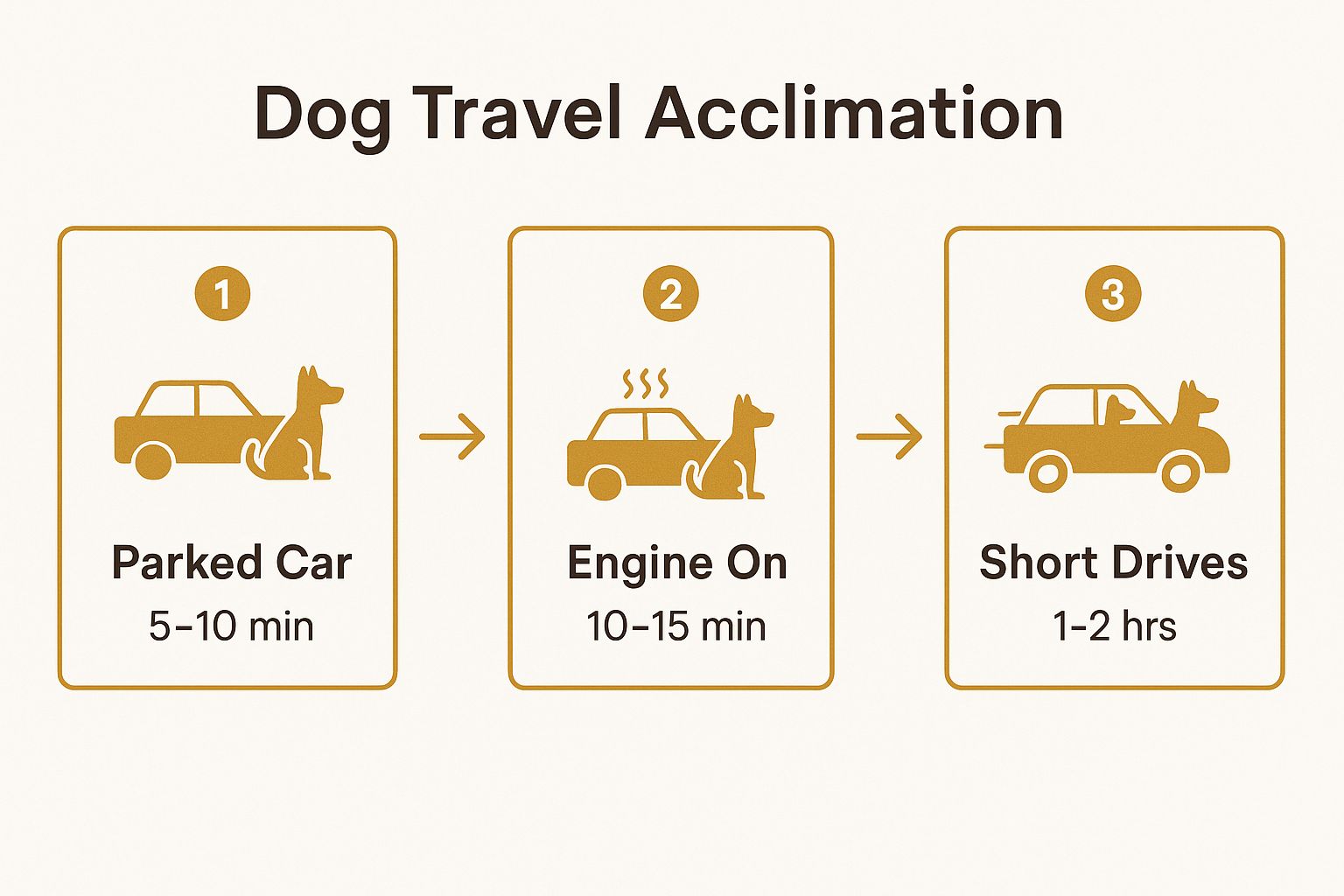 Infographic showing key data about Acclimate Your Dog to Car Travel Gradually