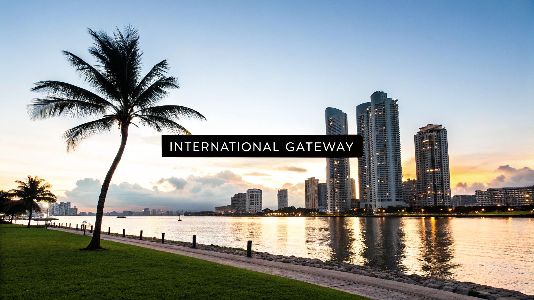 A tropical city skyline at sunset with a palm tree on a grassy bank, reflecting in the water.