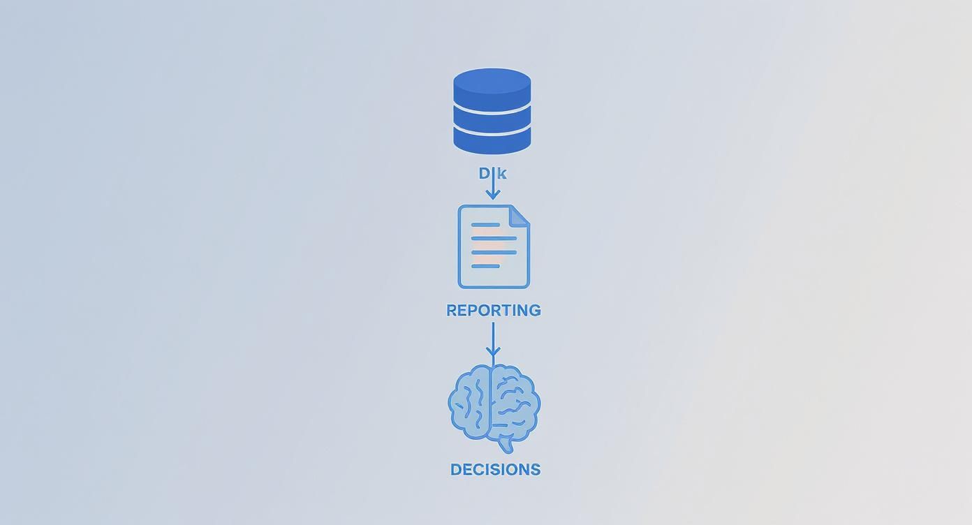 A flowchart illustrating data flowing from a database, through reporting, to inform decisions.