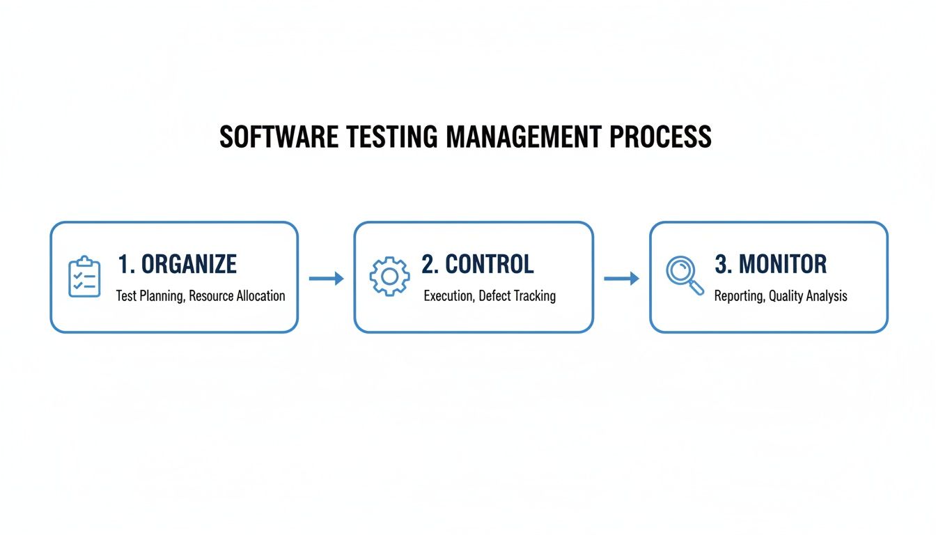 A flowchart illustrates the software testing management process, detailing steps like organize, control, and monitor.
