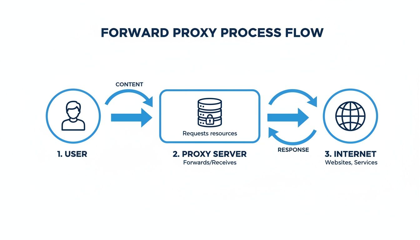 Flow diagram illustrating the forward proxy process: user requests content, proxy forwards to internet, then returns response.