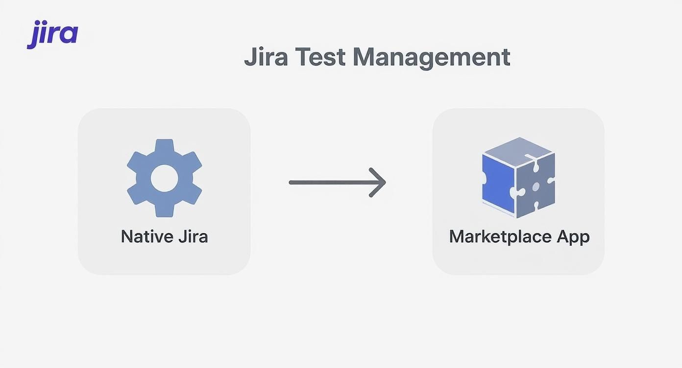 Infographic about manage test cases in jira