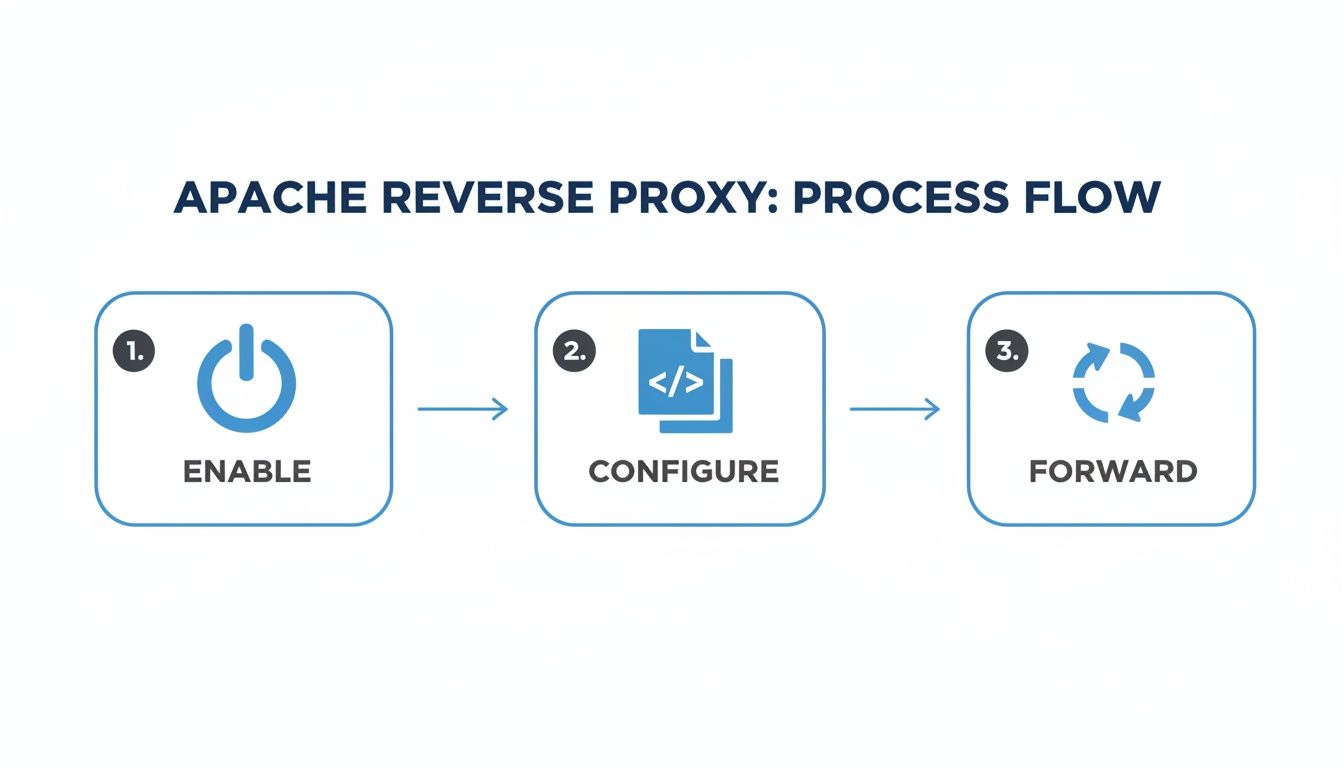 Flowchart showing Apache Reverse Proxy process: enable, configure, and forward steps.