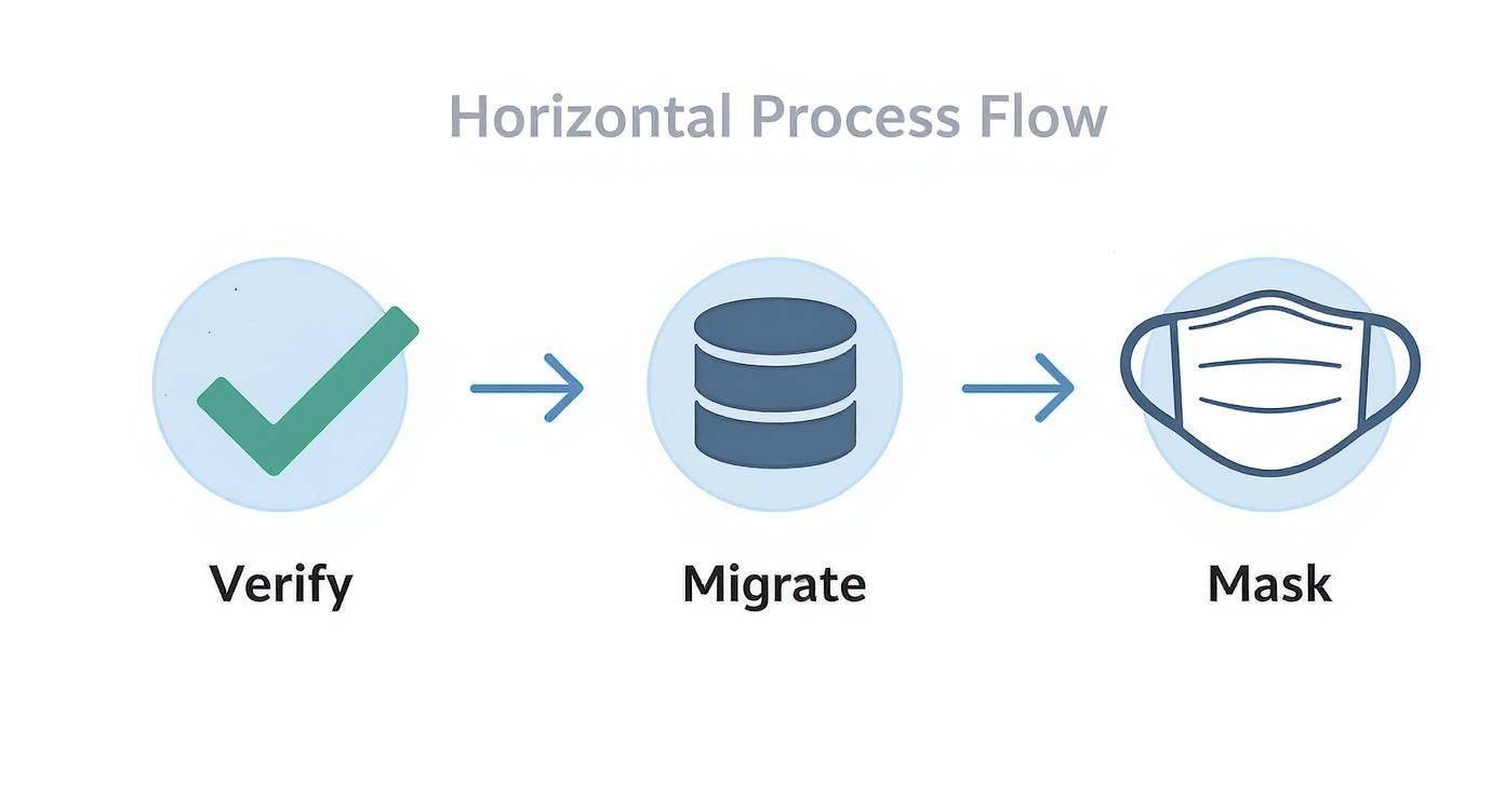 Infographic about data management testing