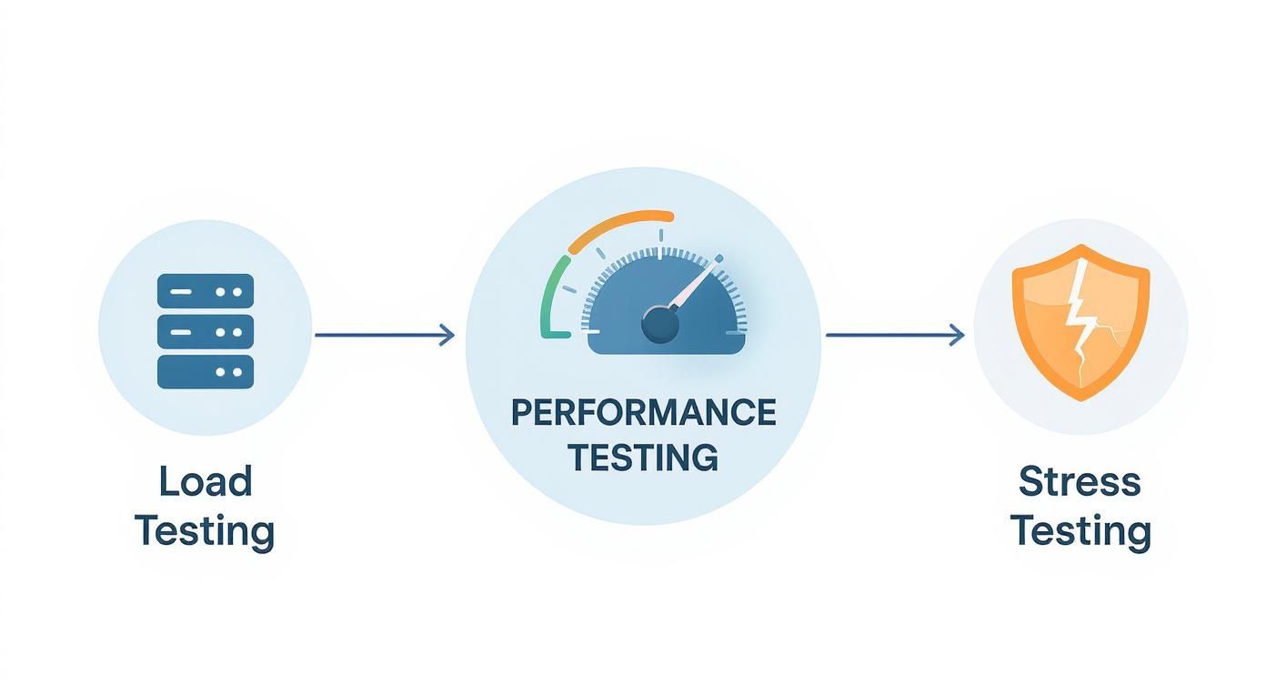 Infographic about load and stress testing in software testing