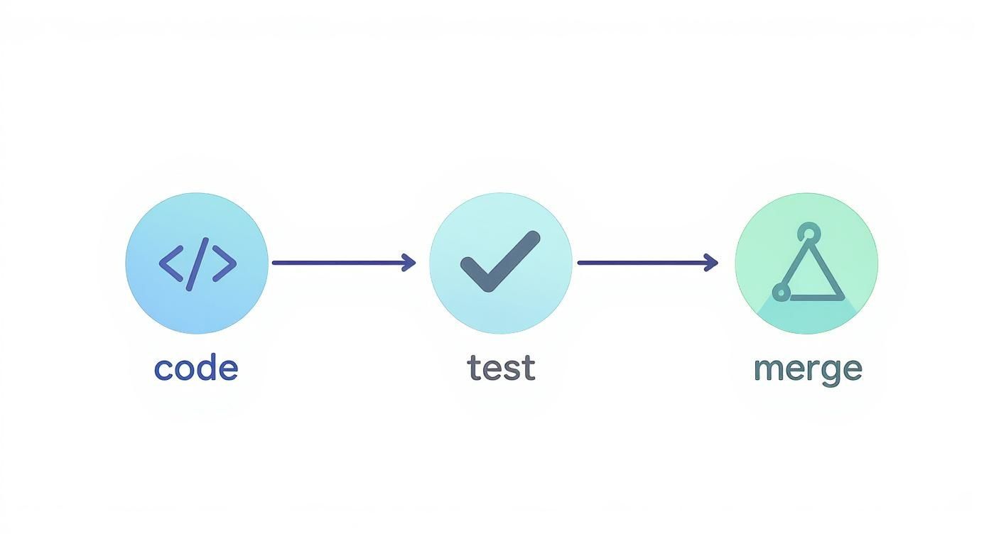 Infographic about continuous integration tests