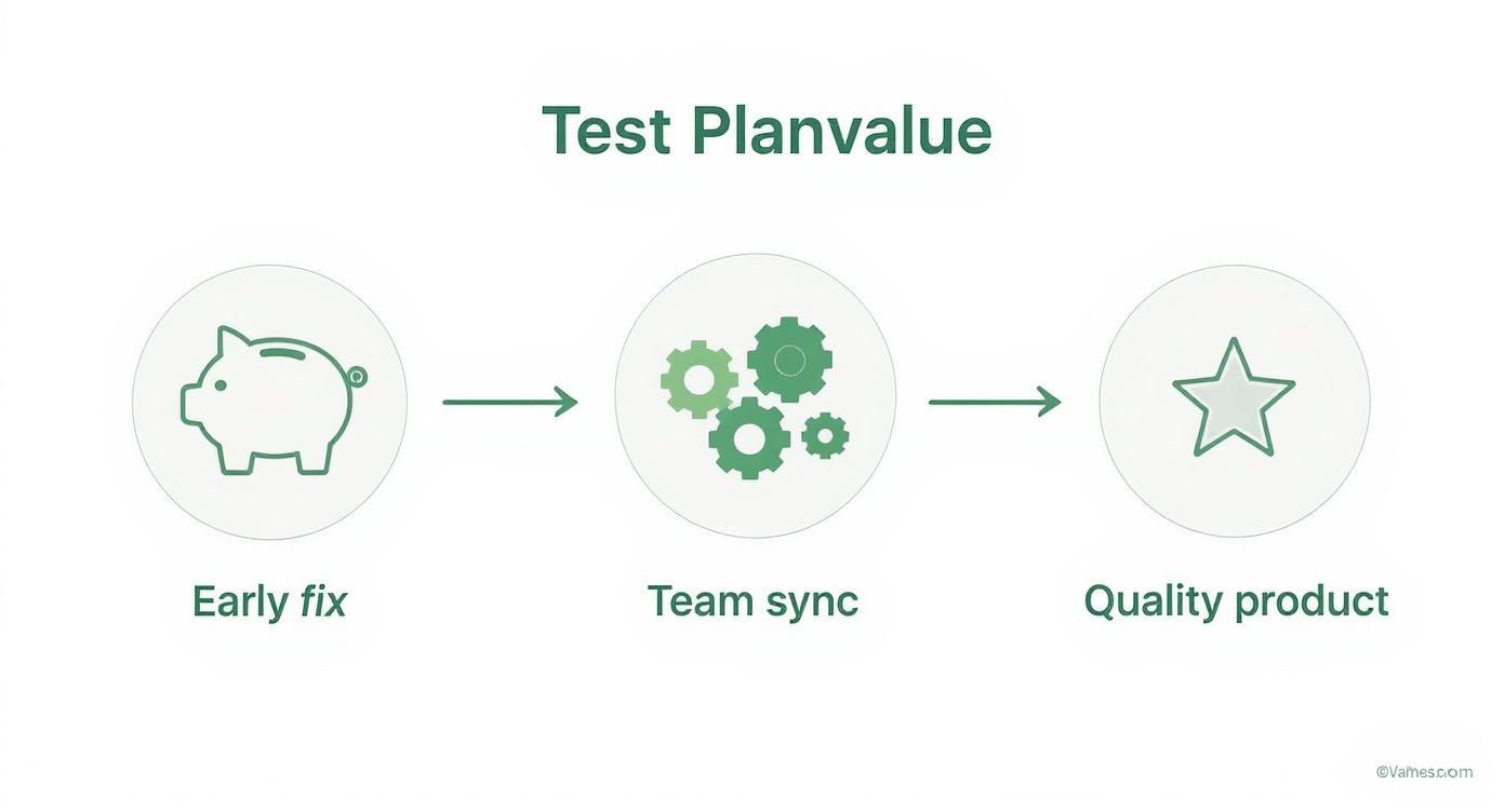 Infographic about what is a test plan