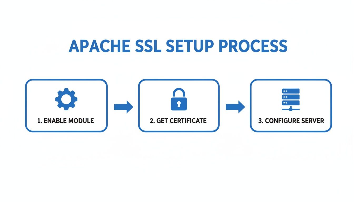 Flowchart illustrating the Apache SSL setup process: enable module, get certificate, configure server.