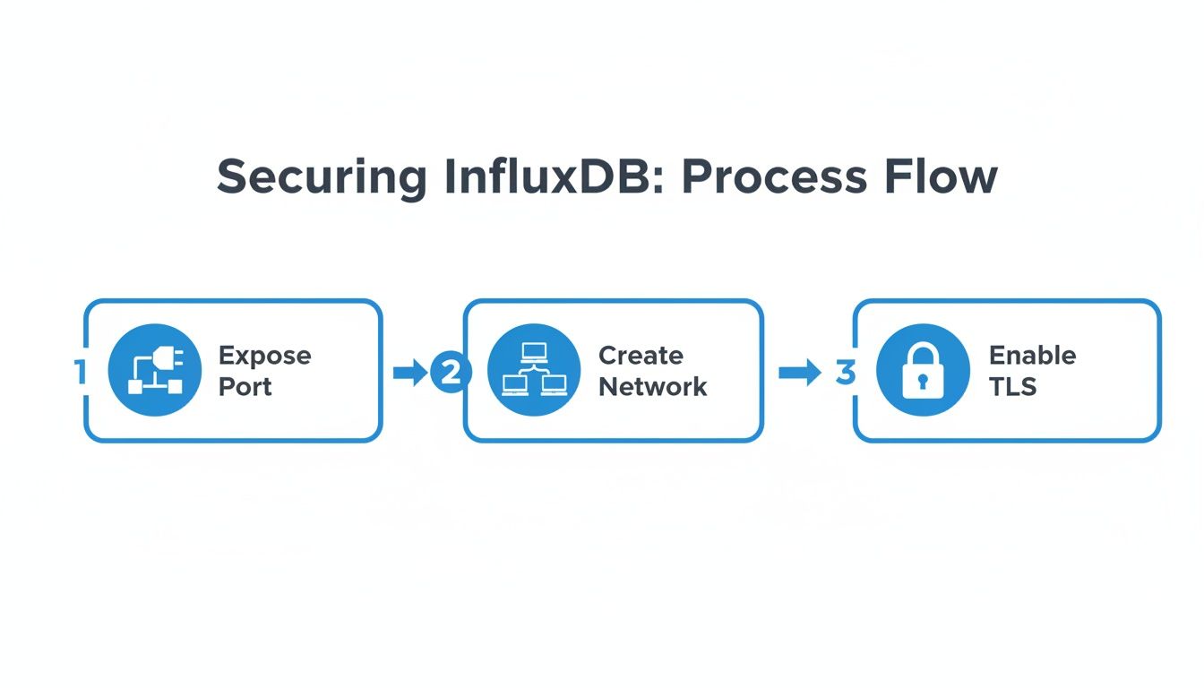 A process flow diagram showing steps to secure InfluxDB: Expose Port, Create Network, Enable TLS.