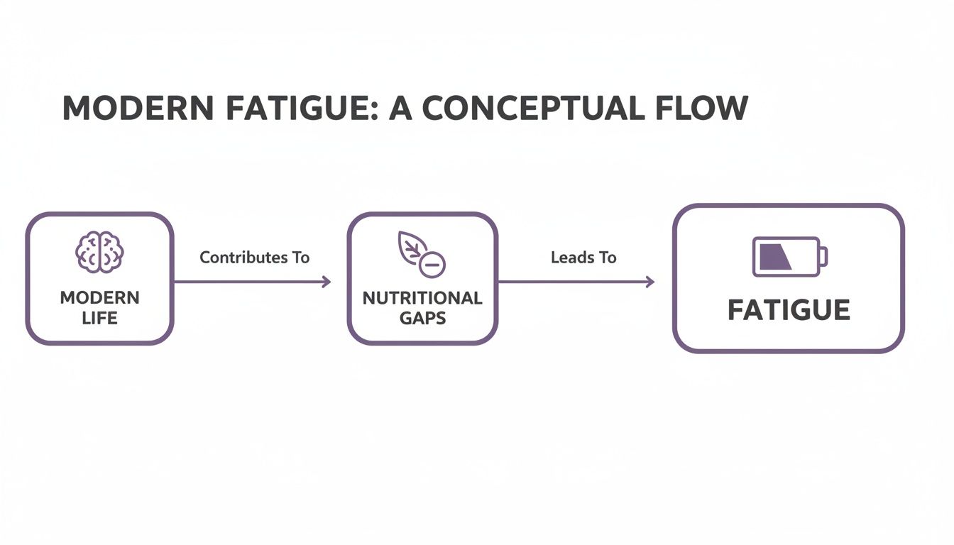 A conceptual flow diagram illustrating how modern life contributes to nutritional gaps, leading to fatigue.
