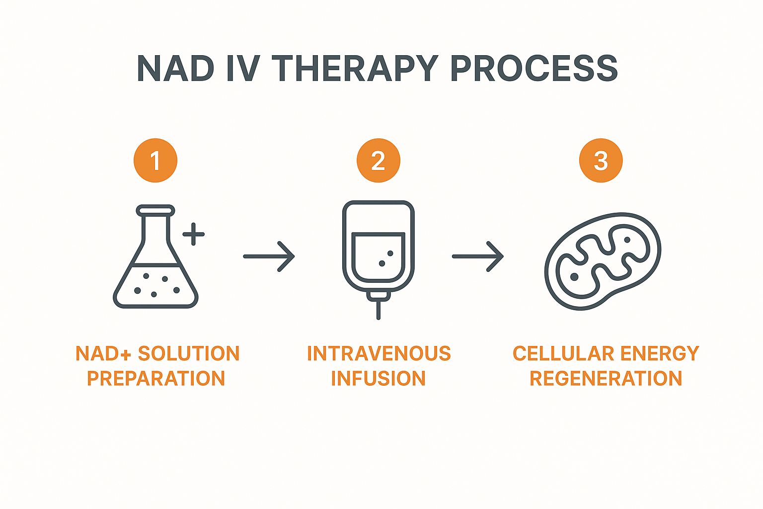 Infographic about nad iv therapy