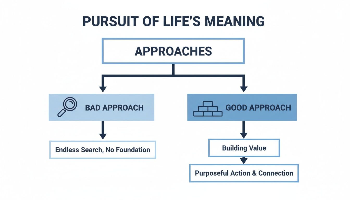 A flowchart illustrating two approaches to life's meaning: endless search versus building value and purposeful action. What is the purpose and meaning of life?
