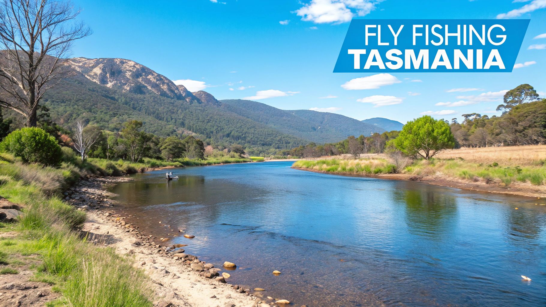 A fly fisher casting a line in a serene Tasmanian river with lush green banks