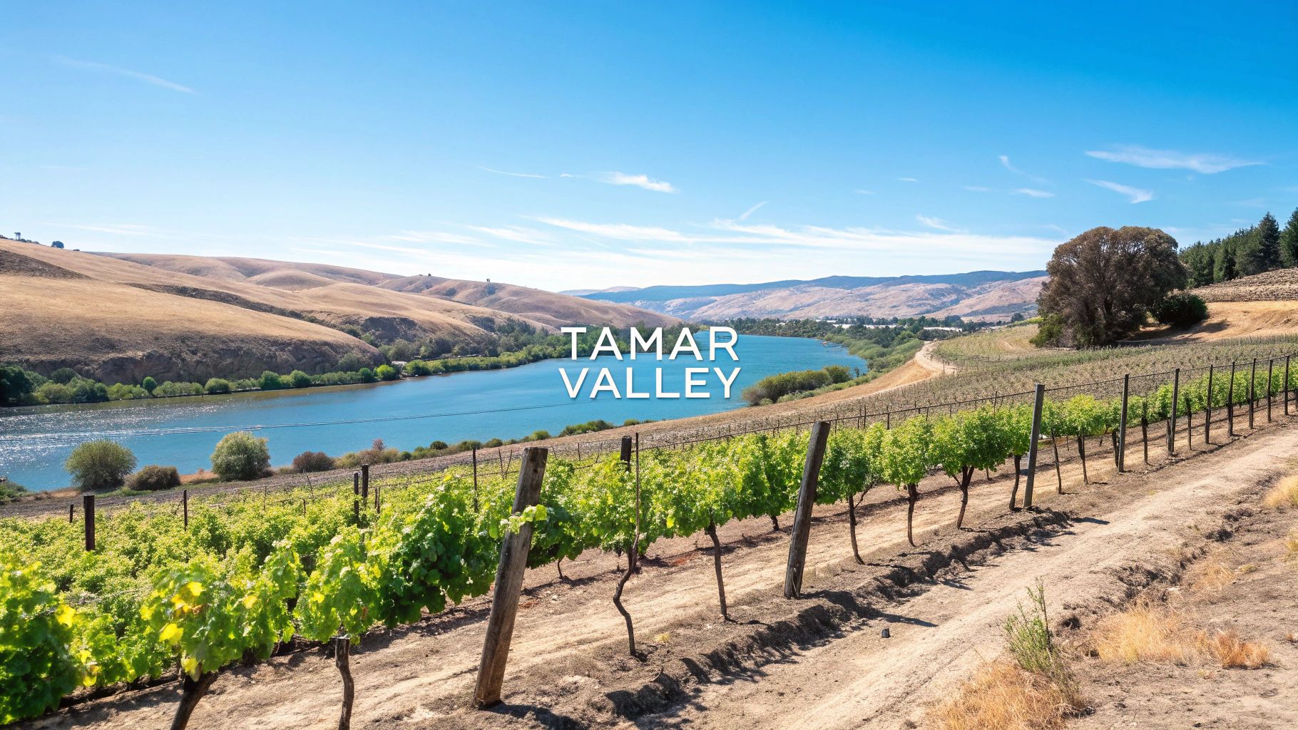 Tamar Valley Wine Region
