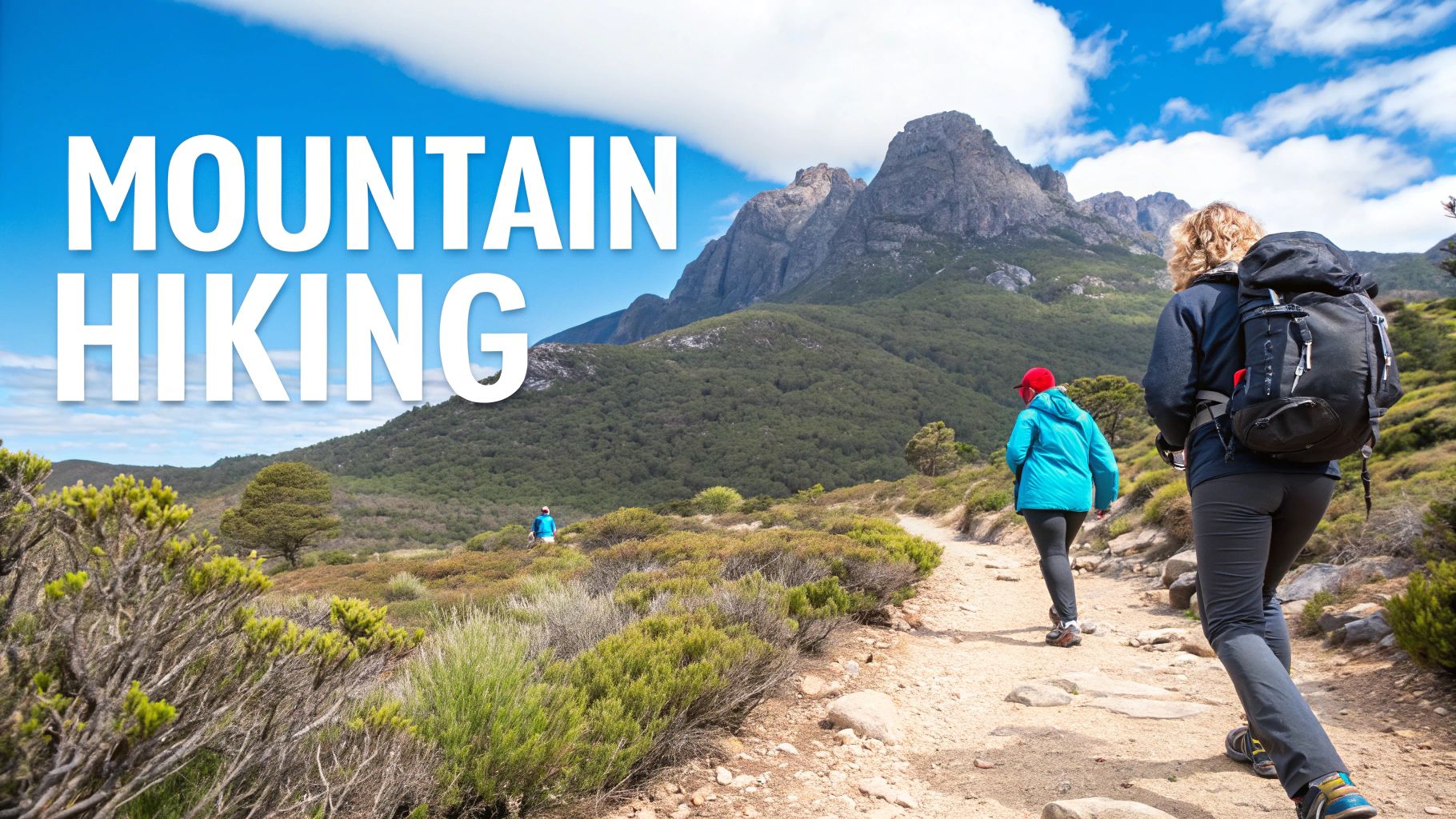 Tasmania's wilderness