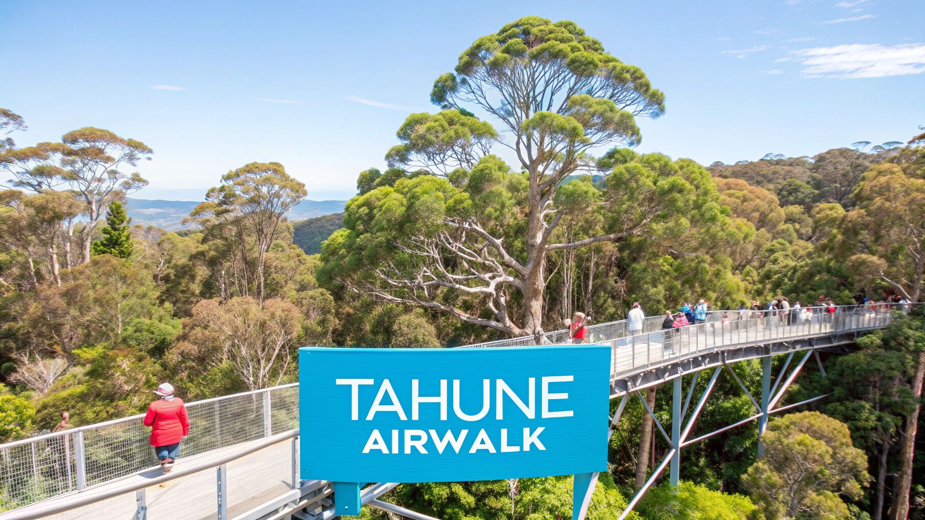 A view from the Tahune Forest AirWalk, showing the steel walkway extending through the dense green canopy of the forest.