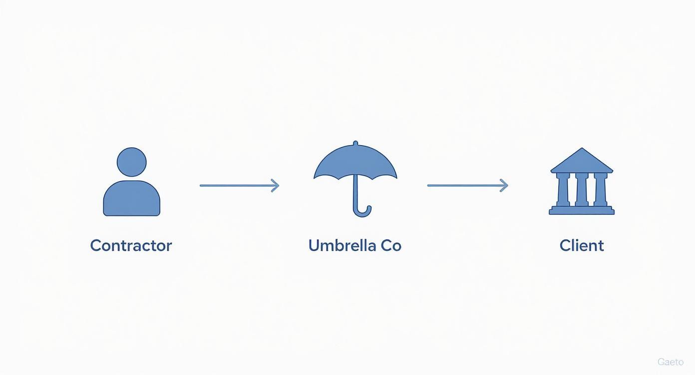 Infographic about umbrella company definition