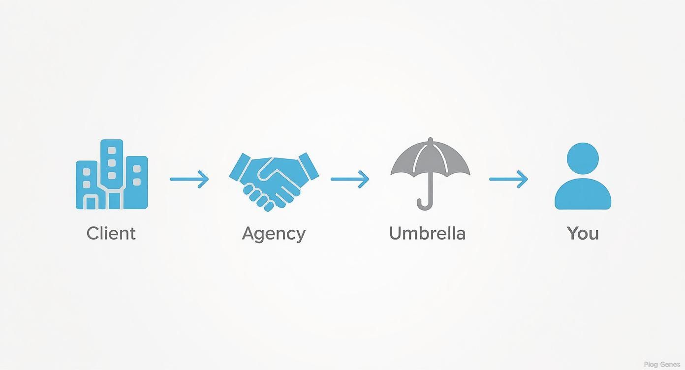 Flowchart showing client, agency, umbrella company, and individual (you) in a contractor payment chain.