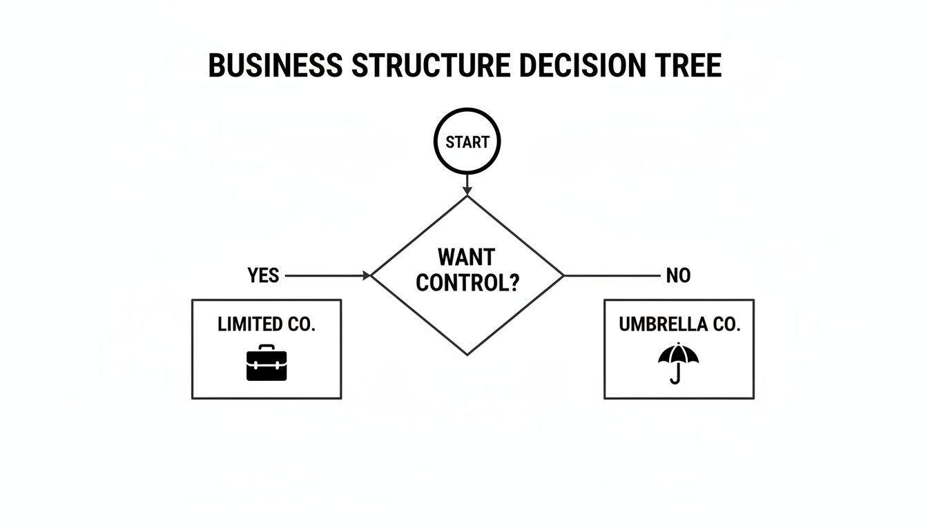 A business structure decision tree flowchart guiding users to choose between a limited company or an umbrella company based on wanting control.