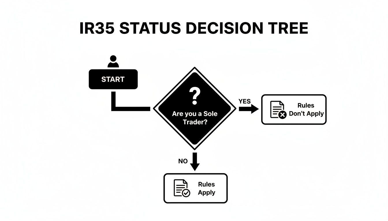 A flowchart detailing the IR35 status decision tree for sole traders and contractors.