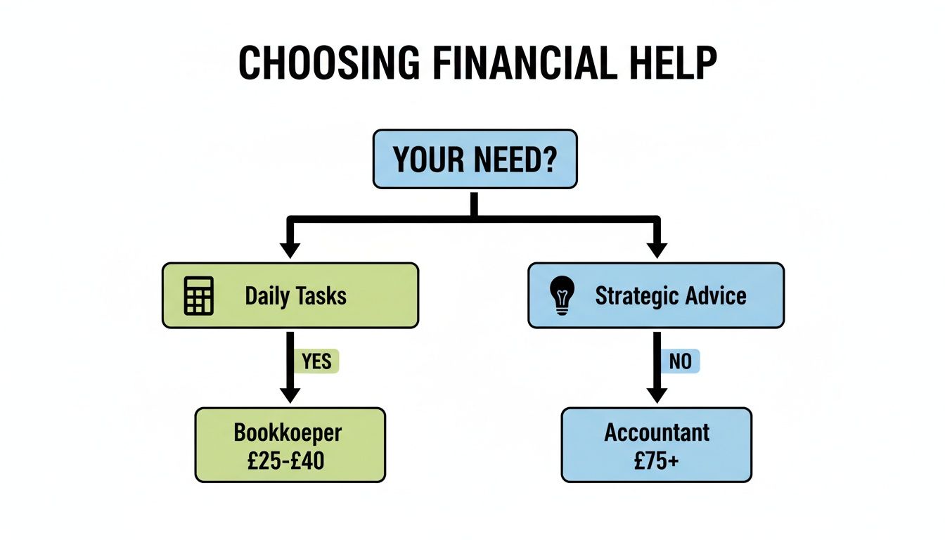 Flowchart comparing financial help options: Bookkeeper for daily tasks (£25-£40) versus Accountant for strategic advice (£75+).